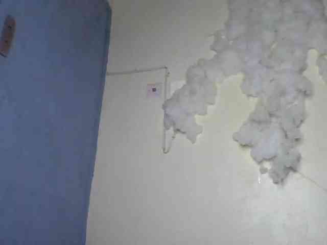 freakcurvy8 webcam