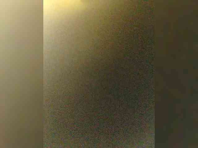 LylyaSurvived webcam