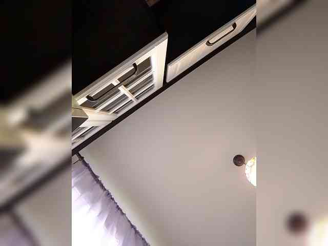Zametnaya webcam