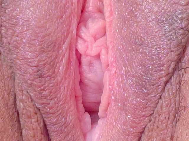 orchide-kitty chat room