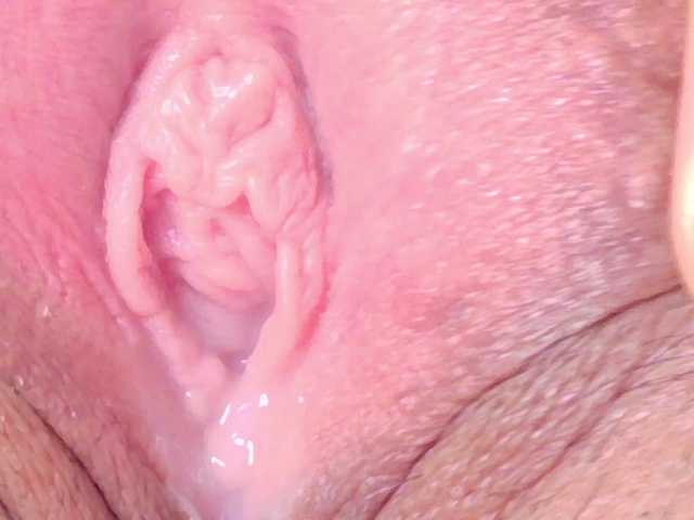  orchide-kitty chat room