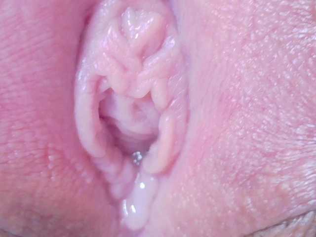  orchide-kitty chat room