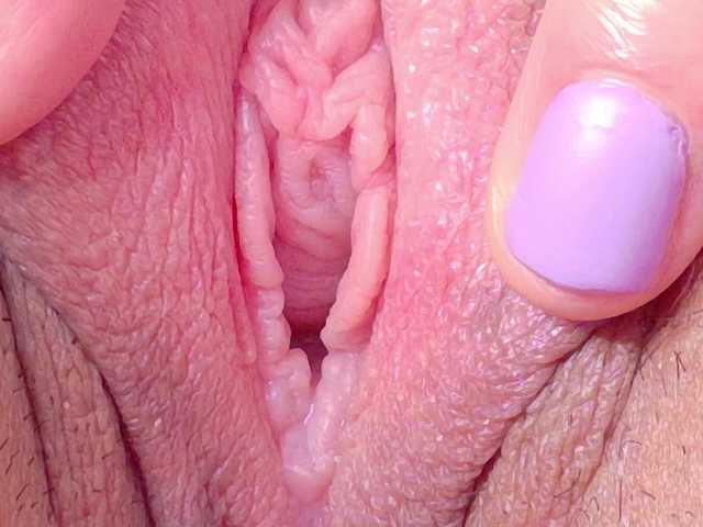  orchide-kitty chat room