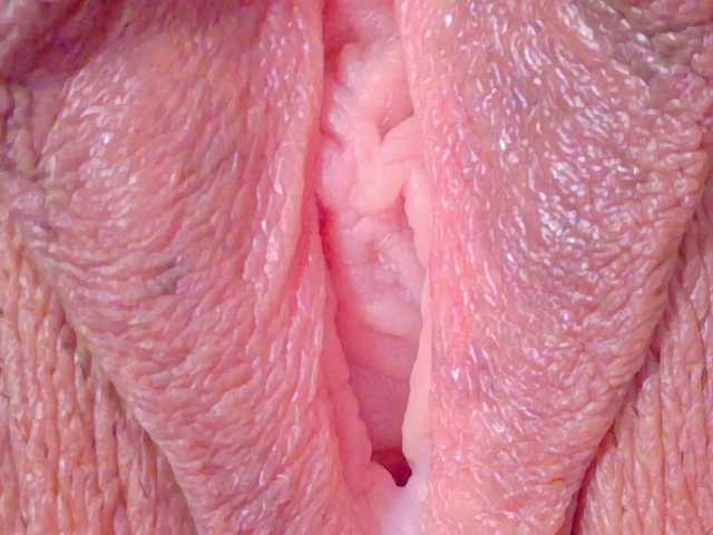  orchide-kitty chat room