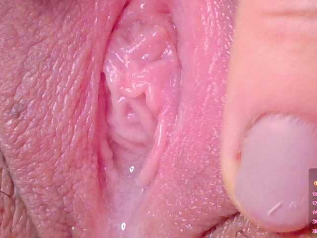  orchide-kitty chat room