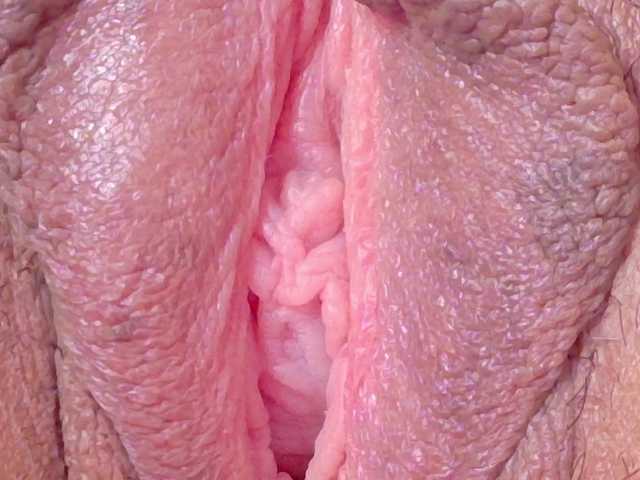  orchide-kitty chat room