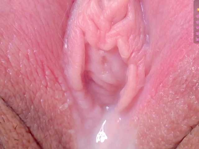  orchide-kitty chat room