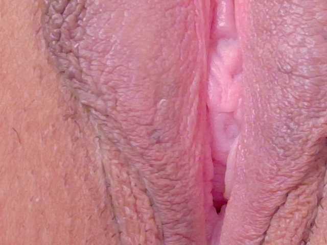  orchide-kitty chat room