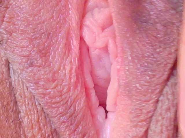  orchide-kitty chat room