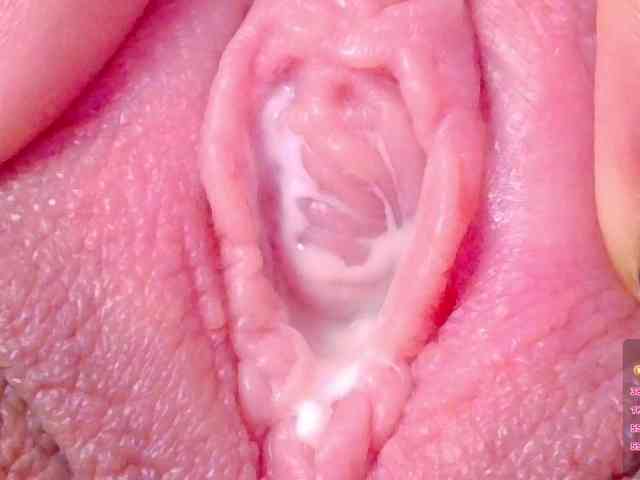 orchide-kitty webcam