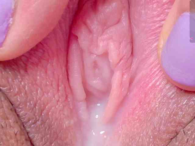 orchide-kitty webcam
