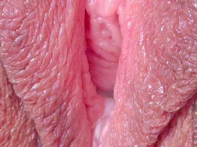 live webcam xxx Orchide-kitty
