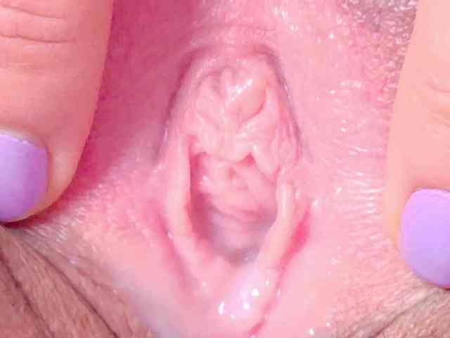 orchide-kitty webcam