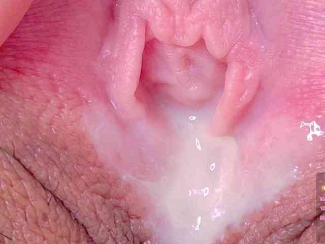 orchide-kitty webcam