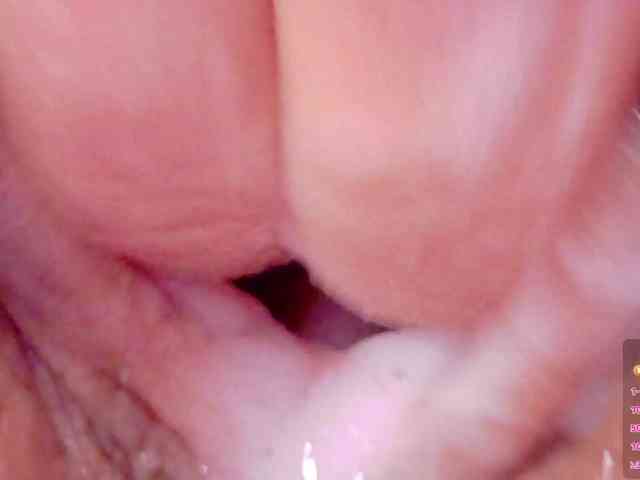 orchide-kitty webcam