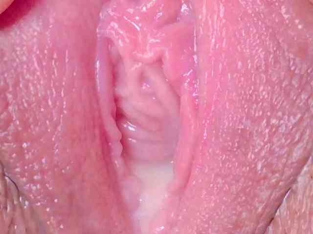 orchide-kitty webcam