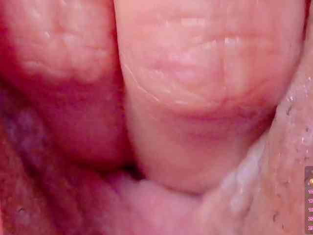 orchide-kitty webcam