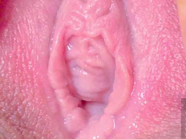 orchide-kitty webcam