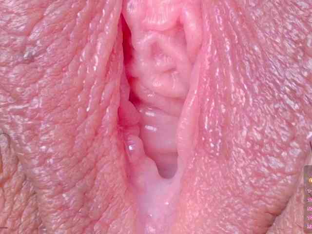 orchide-kitty webcam