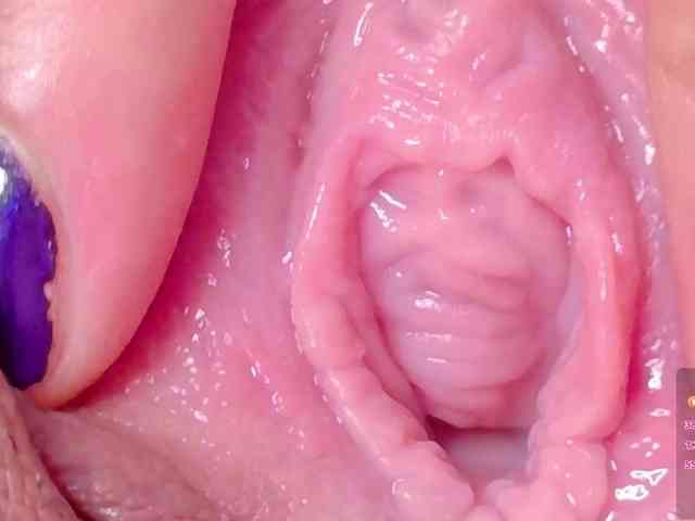 orchide-kitty webcam