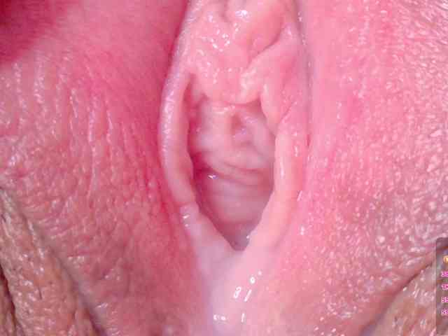 orchide-kitty webcam