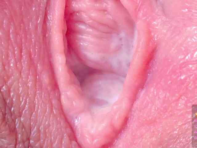 video chat porno Orchide-kitty
