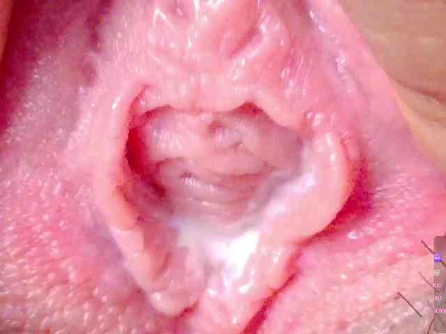 orchide-kitty webcam