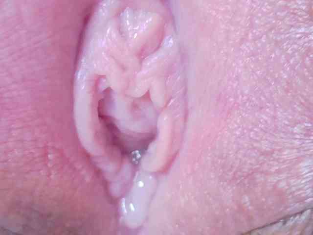 orchide-kitty webcam