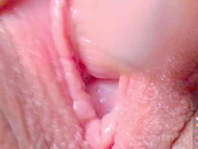 orchide-kitty webcam