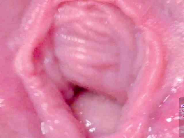 orchide-kitty Live Webcam on BongaCams orchide-kitty Live Webcam on BongaCams