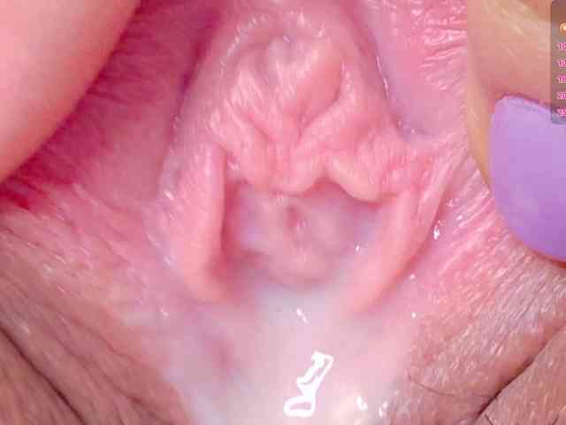 orchide-kitty webcam
