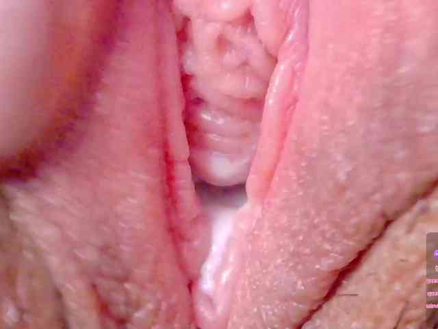 orchide-kitty webcam