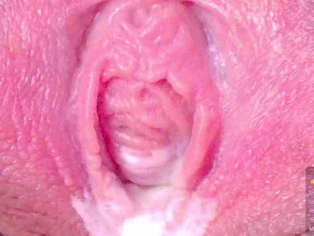 orchide-kitty webcam