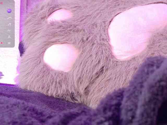 orchide-kitty