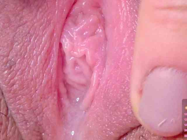 orchide-kitty webcam