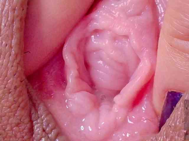 free online sex chat Orchide-kitty