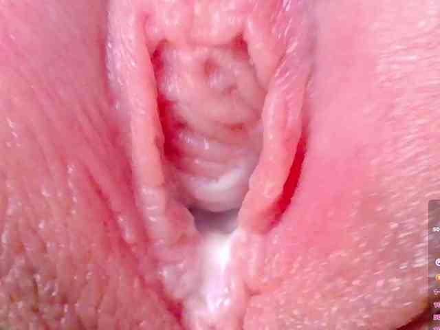 orchide-kitty webcam