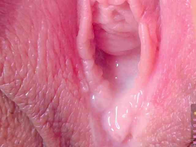orchide-kitty webcam