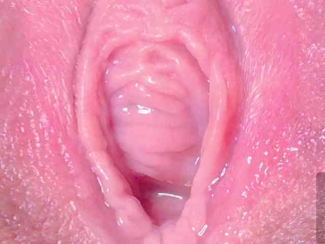 orchide-kitty webcam