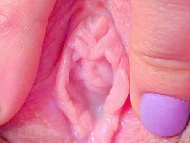 orchide-kitty Live Webcam on BongaCams