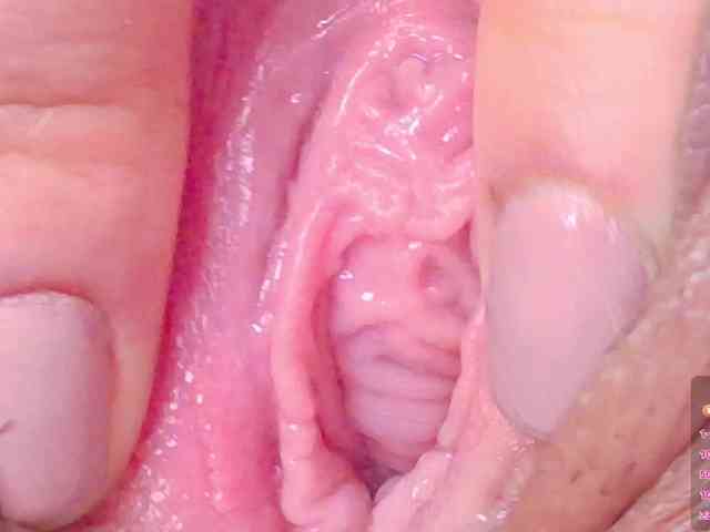 sex chat for free Orchide-kitty