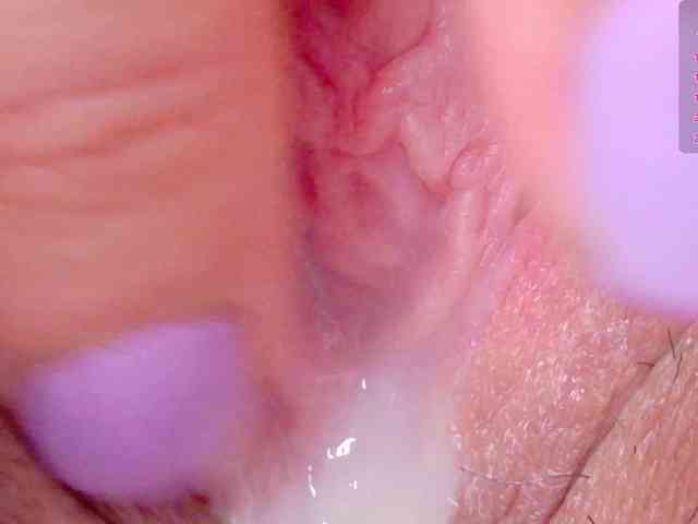 orchide-kitty webcam