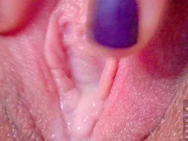 orchide-kitty webcam