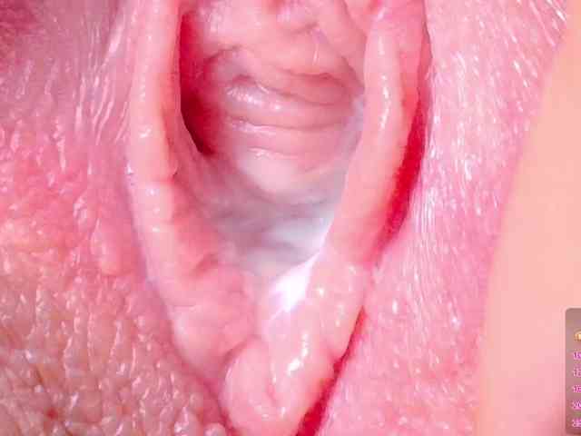 orchide-kitty webcam