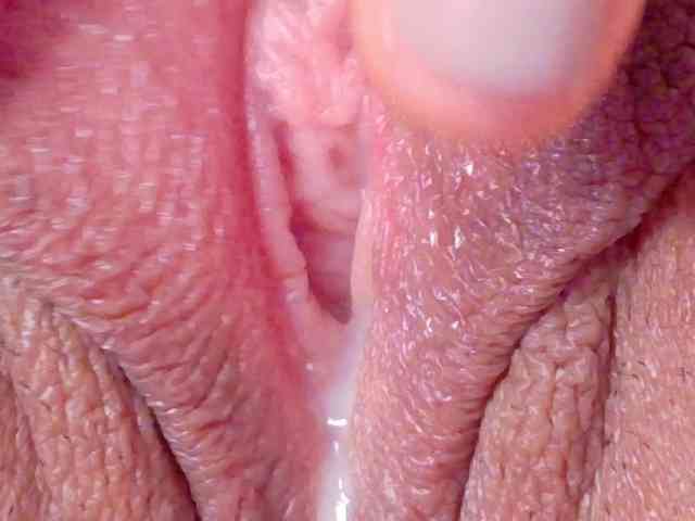 orchide-kitty webcam
