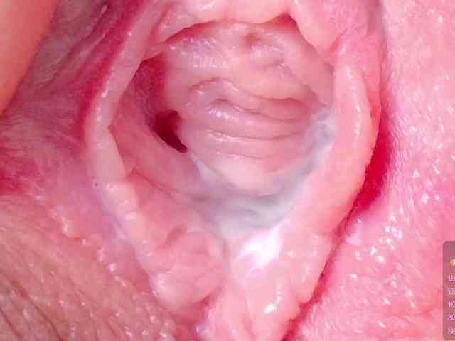 cam to cam adult Orchide-kitty