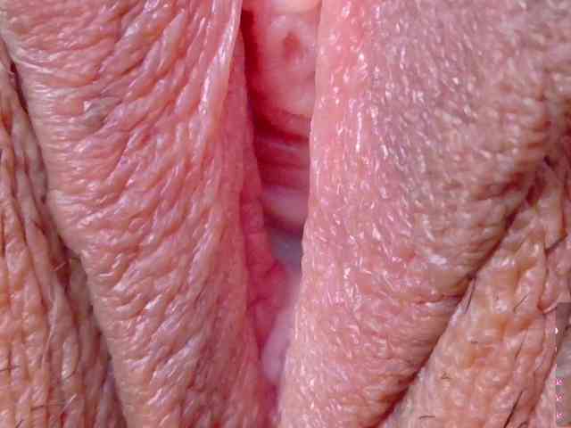 sex live Orchide-kitty