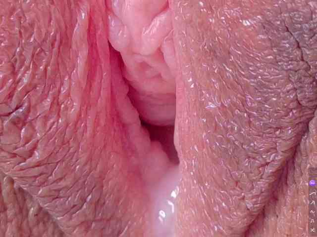 orchide-kitty webcam