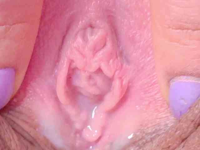 orchide-kitty webcam