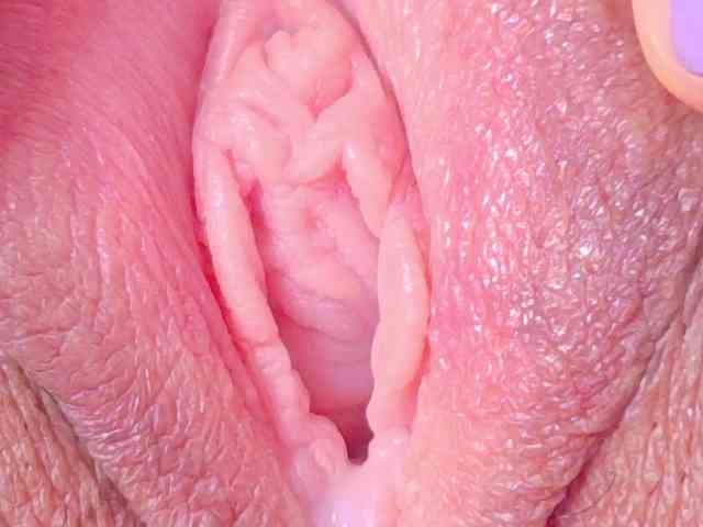 orchide-kitty webcam